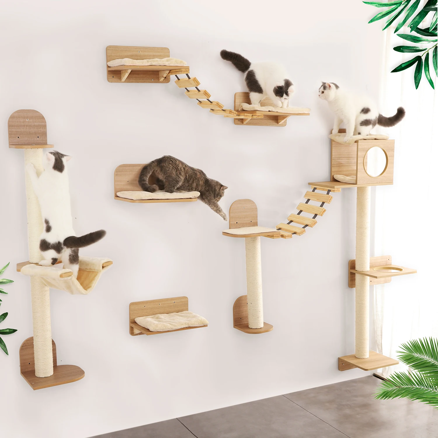 cat tree on the wall