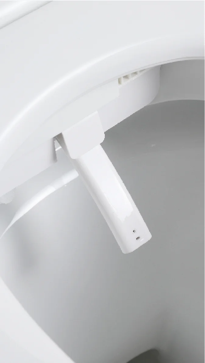 High end floor mounted automatic flush electric Inodoro inteligente bathroom ceramic intelligent smart toilets details