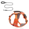Orange+202 Laisse