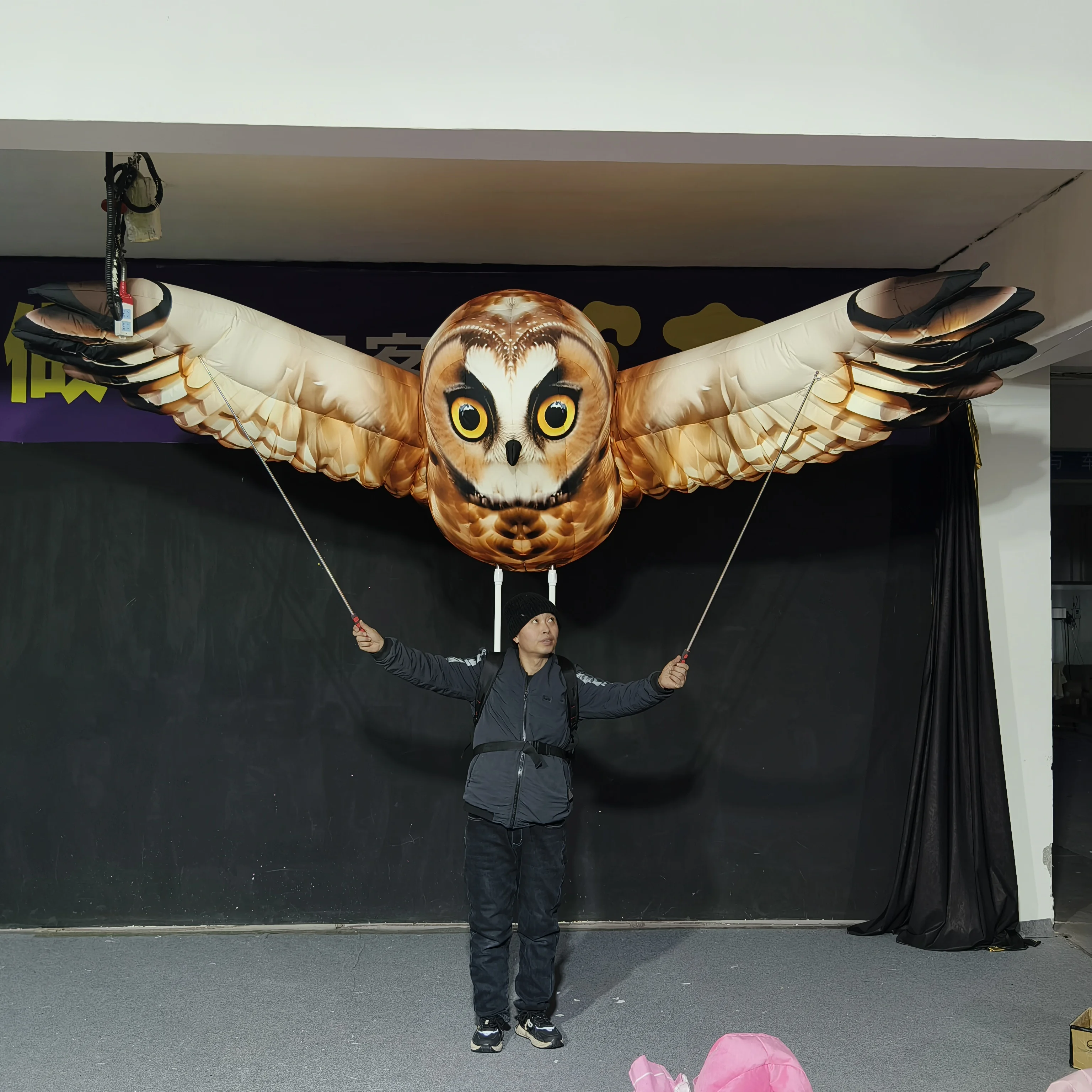 Customized Inflatable Owl Model, Blow up Inflatable for Commercial Decoration & Show