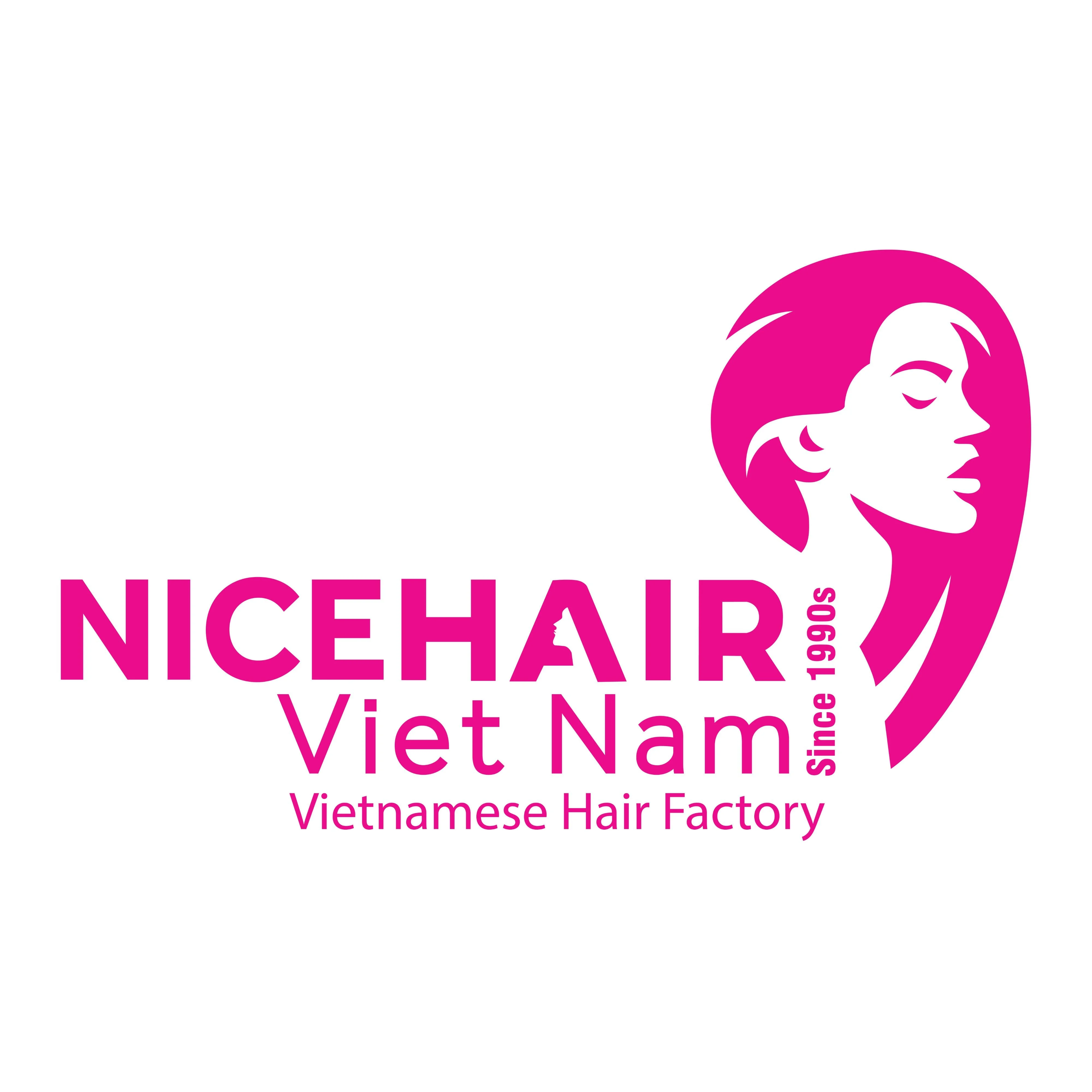 Company Overview - VIETNAM NICE HAIR MANUFACTURING AND EXPORT CO., LTD