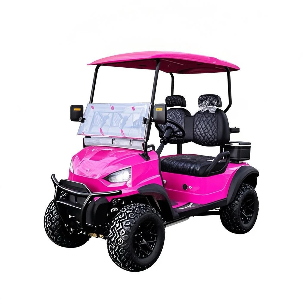 Brand New Factory Parison Electric Golf Car 2 Seaters Pink Electric Golf Utility Vehicle 2025SDZX12PTPR251