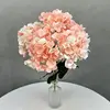Naranja Rosa