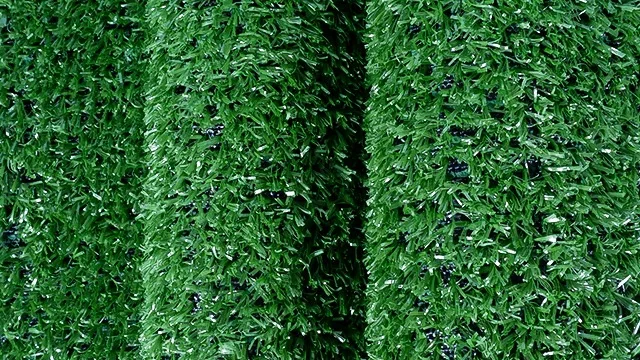 Low Maintenance Blue Padle Grass Turf - Buy Blue Padle Grass Turf,Blue ...