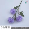 3-headed daisy YUL Purple
