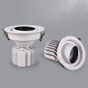 Adjustable COB LED Downlight for Commercial Use Anti-Glare Ceiling Light for Clothing Stores with Embedded Hole Design