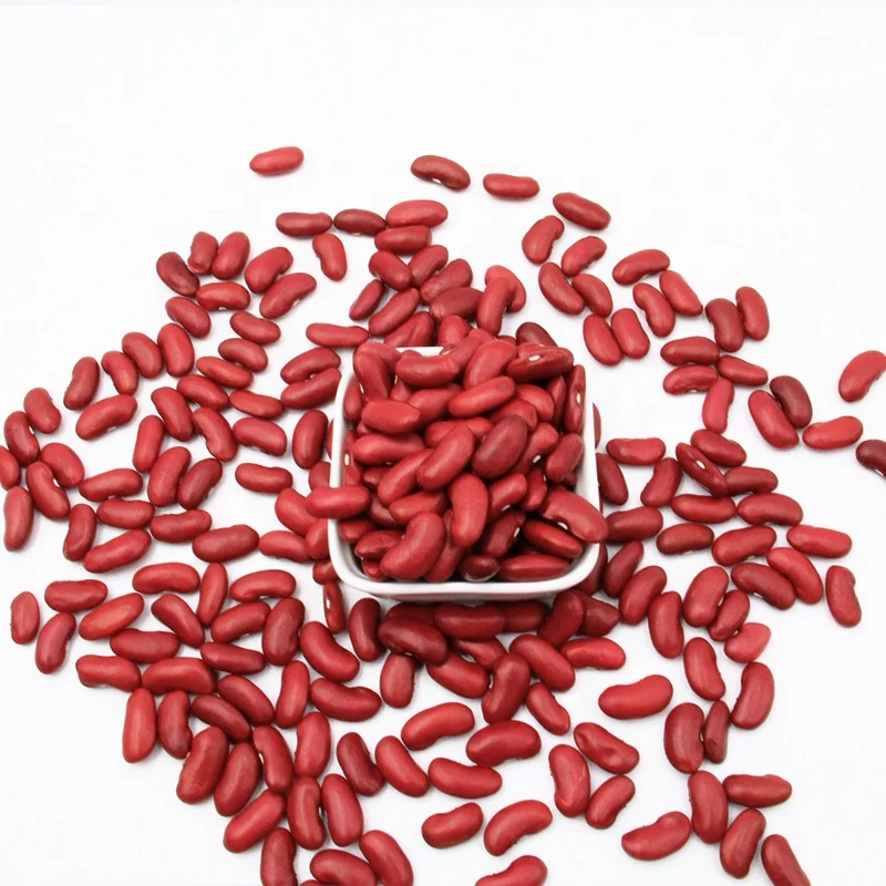 Wholesale Dried Dark Red Kidney Bean long shape Kidney Beans