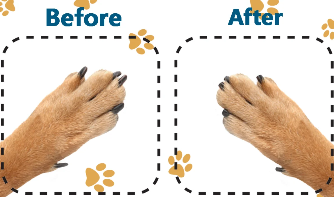 Wood Scratch Square For Dogs Stress Free Nail File Buy Dog Nail File