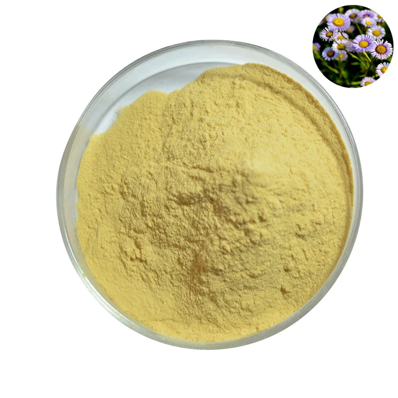 Organic Factory Supply Erigeron Breviscapus Extract Breviscapine Cas 116122-36-2 view 2