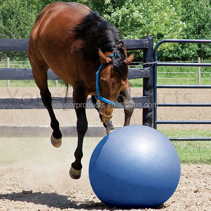 Professional Anti Burst Comfortable Exercise Horse Yoga Ball Pilates ...