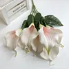 rosa claro