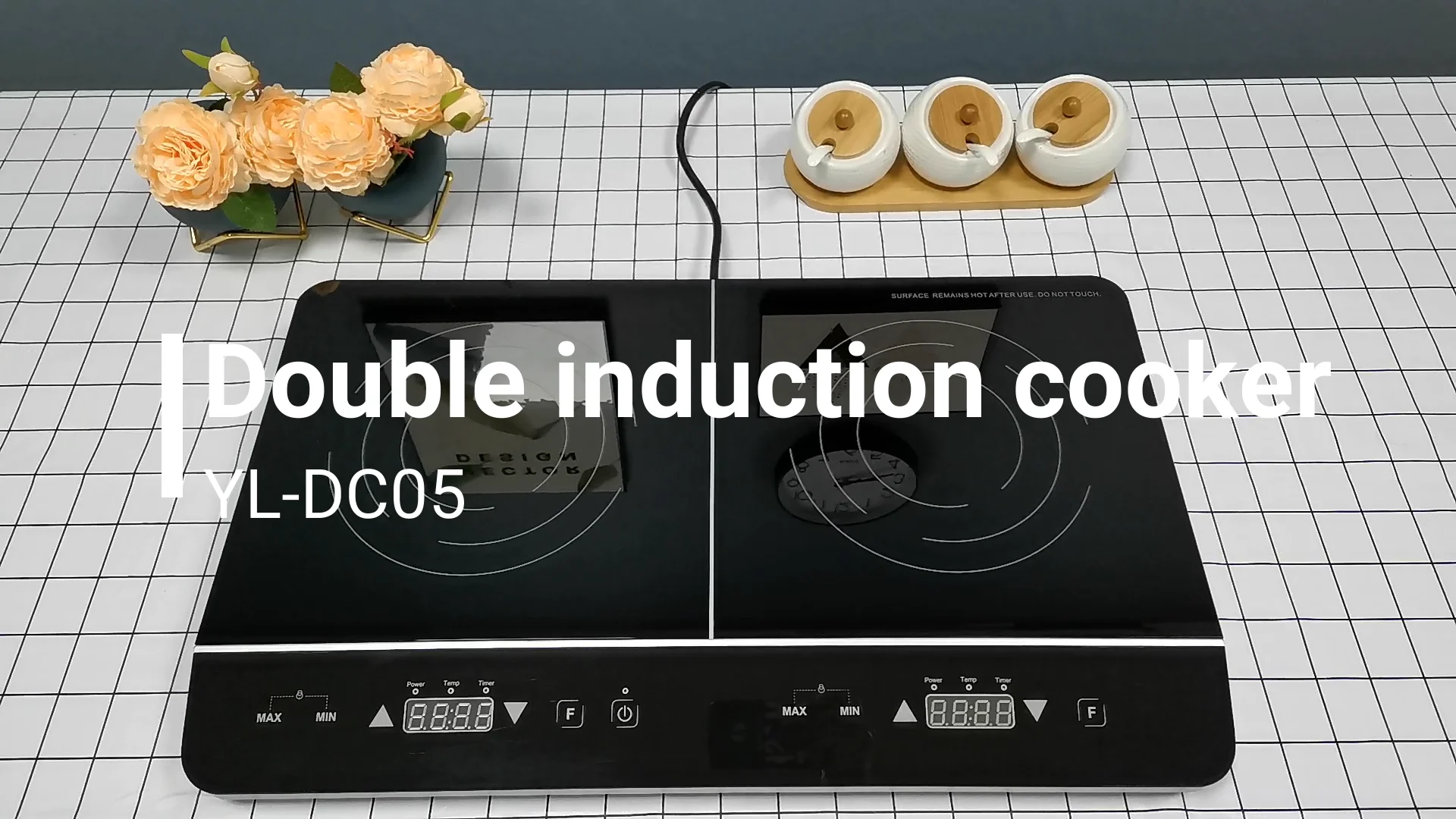 Europe Design Double Induction Cooker 3500w Portable Induction Cooktop