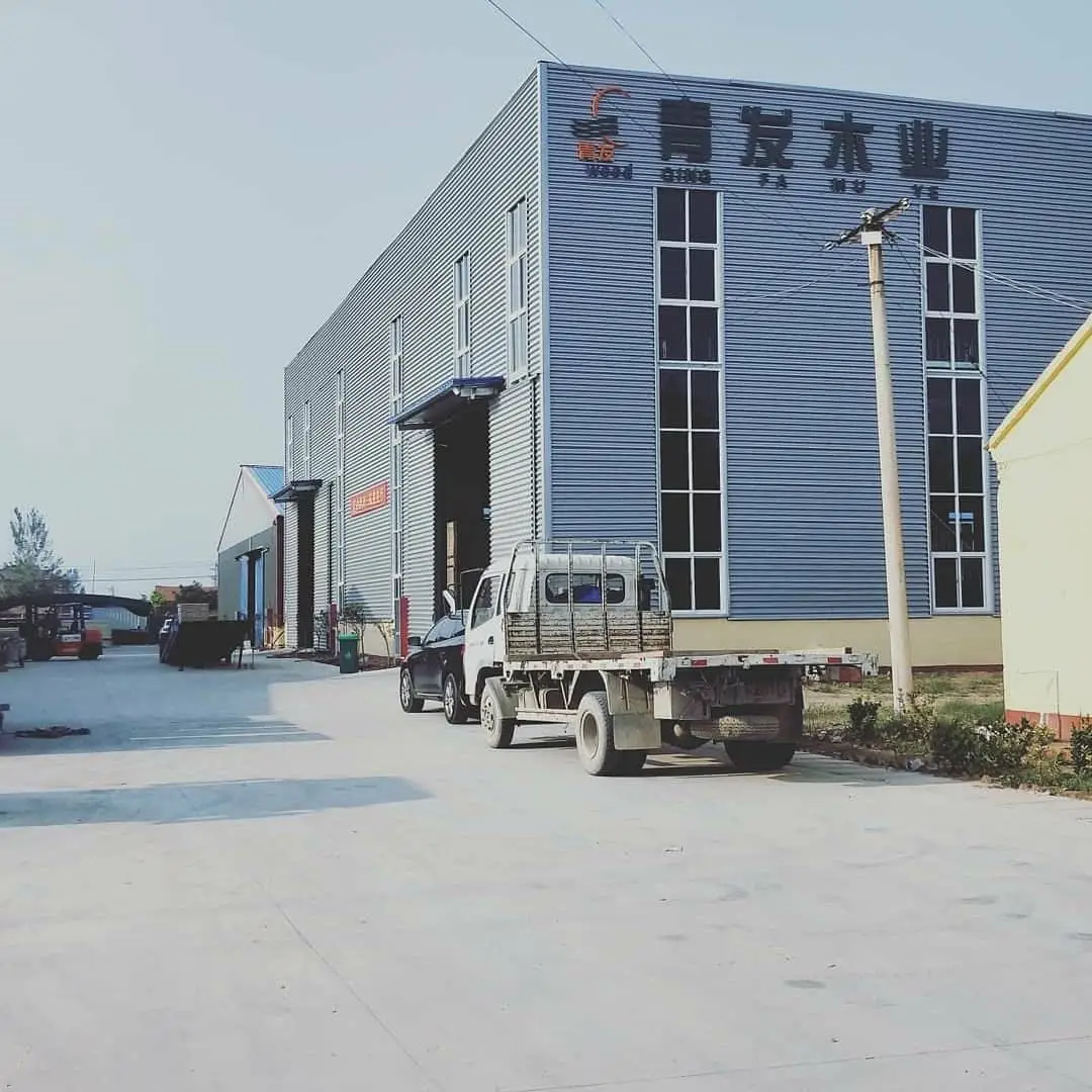 Heze Qingfa Enterprises Co., Ltd.