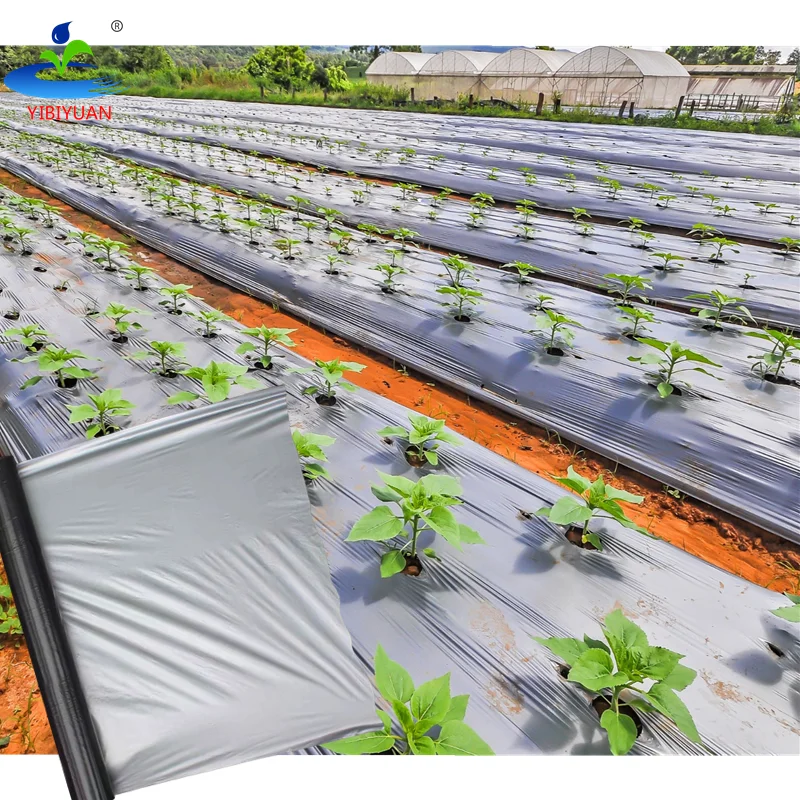 1.2m X 500m 25 30 40 50 Mic 80mic Agricultural Greenhouse Ground Cover Silver Black Mulching Film Agricultural Plastic
