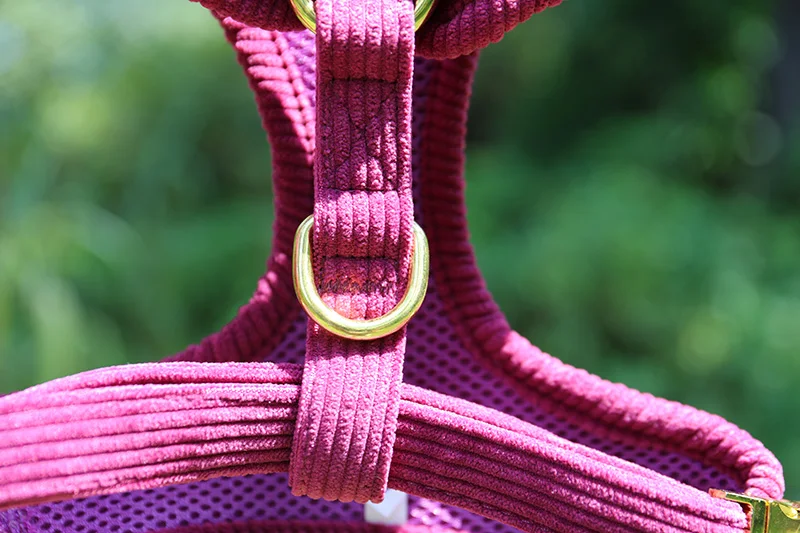 Custom Design Soft Wholesale Velvet Corduroy Puppy Dog Leash Lead Set