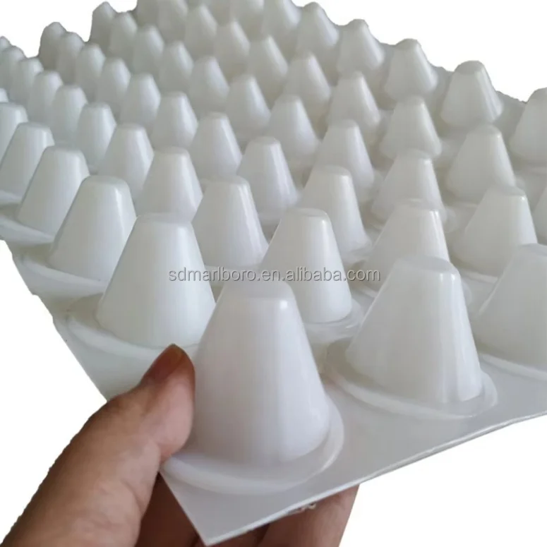 Roof Greening Dimple Drain Board From Manufacturer HDPE Dimple Drainage Board With Competitive Price