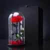 Grand Prince 15 * 30cm+Gift Box
