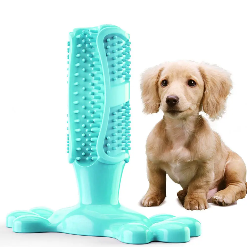 rubber dog toothbrush