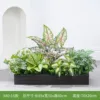 hc-X80-16 es adecuado para jardineras de 80 cm.