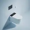 White-Semi Function