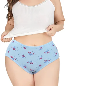 Printed 4-Layer Absorbent Low-Rise Knitted Lace Hipster Teen Girl for Panties