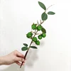 FA80009-Green