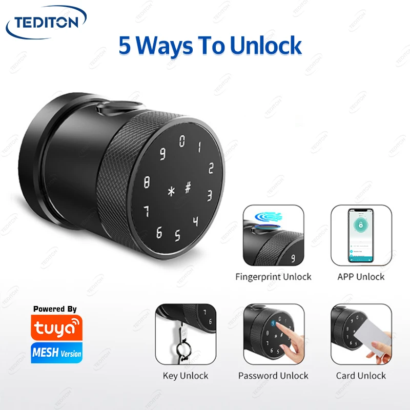 Tediton Biometric Keyless Tuya TTlock Smart Fingerprint Door Lock Door Knob App Control Smart Silver Door Knob Lock
