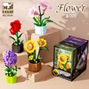 13034-4 coffret