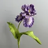 Violet foncé