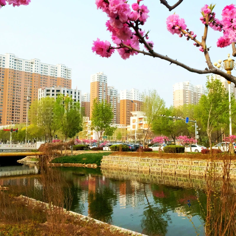 Специализированная бактерия для очистки сточных вод, чистой воды, уменьшение уровня груза, устранение запаха сточных вод