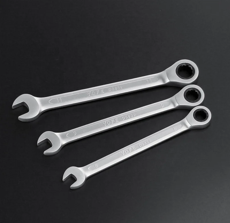 22pcs Gear Spanner Set Chrome Vanadium Steel Rachet Wrench
