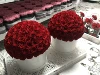 Cupola di funghi con 95 rose