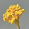 Jaune doré