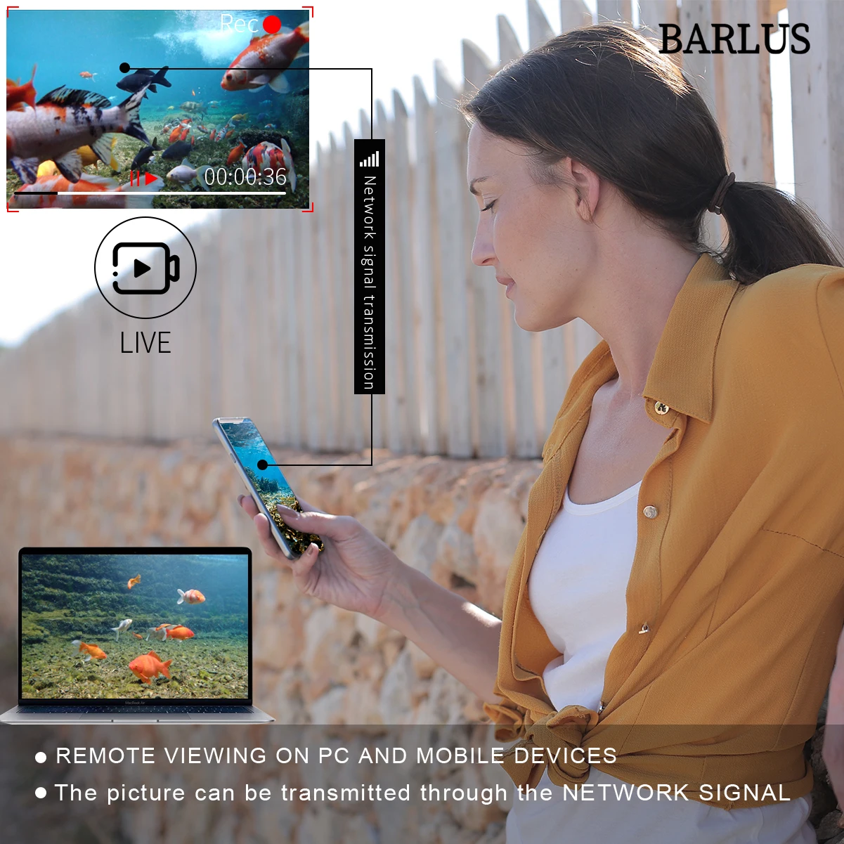 Barlus 5mp Poe Security Underwater Video Camera System With 1tb Hard
