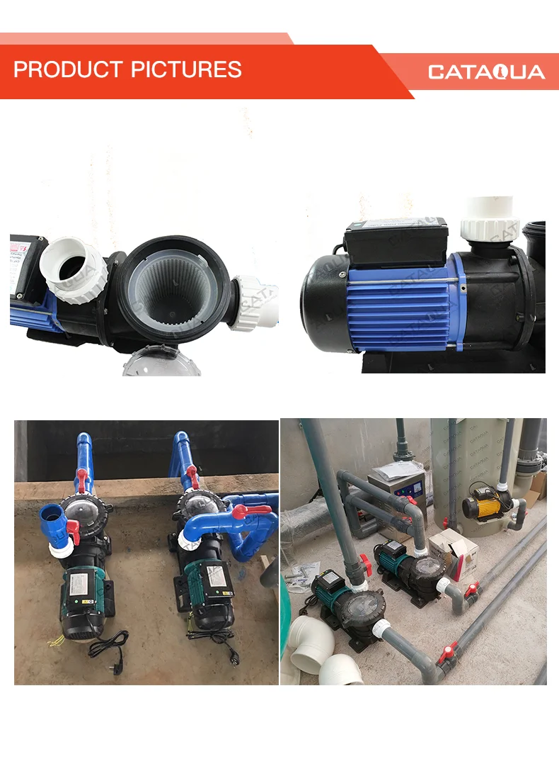1HP High Pressure Water Pump for Fish Tank for RAS System in ...