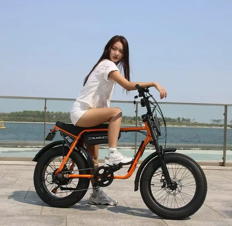 2025 FAT TIRE MODEL ZX 20*4.0inch Ebike - 48V750W/1500W