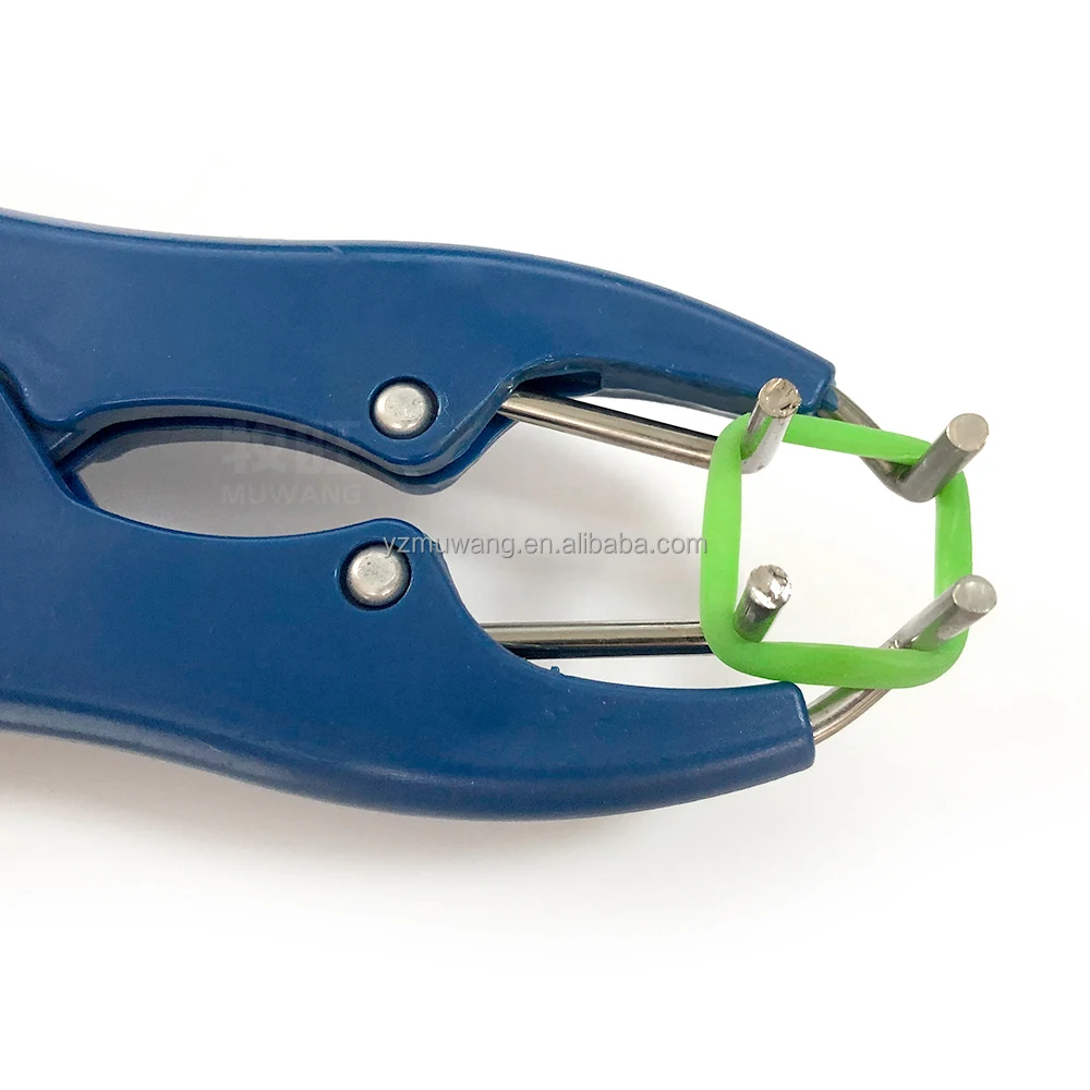 Elasticity Castration Rubber Rings Castrated Ring Elastic Band