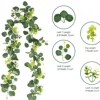 Eucalipto e Vite Spinosa
