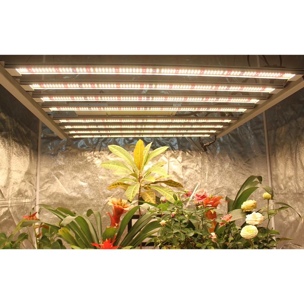APP Smart Controller Figolite Led Grow Light Bars 600w Full Spectrum with Lm301H EVO Diode Drivered by MW