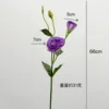Viola intenso