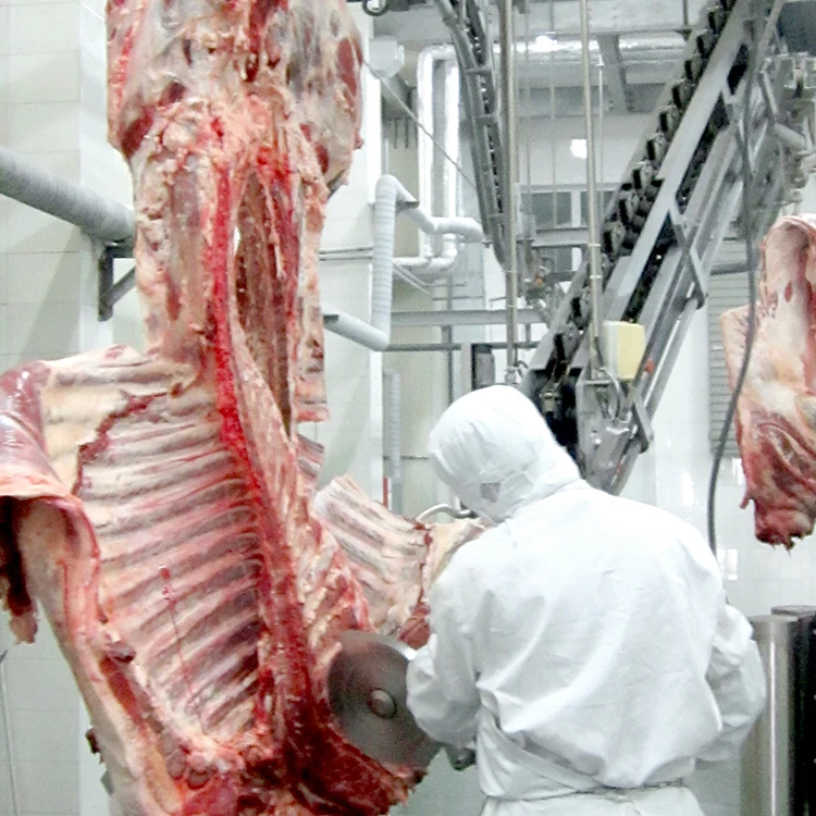 Meat Processing Plant Camel Cattle Slaughterhouse Machine