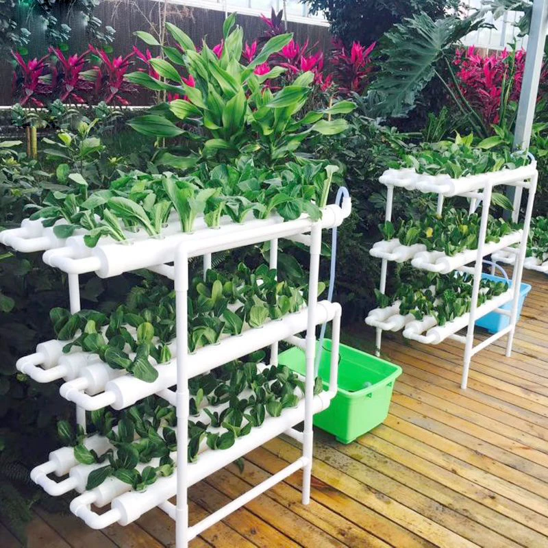 Full Automated Greenhouse Structure with Hydroponic System Irrigation for Greenhouse