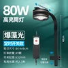 Lampe à algues (avec interrupteur temporisé)80W