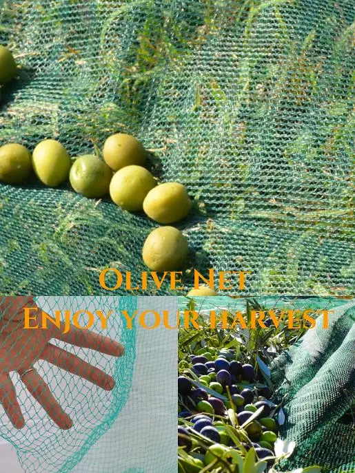 Direct Factory Supply Reusable Orchard Net for Harvesting Olives Seedlings Anti-Bird Garden Netting Made HDPE Farm Collections