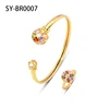 SY-BR0007