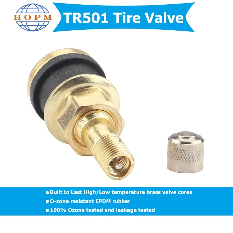 Valves Pneu Camion TR500 Lot De 10 - Tiges Laiton Robuste Pour Pneus Tubeless