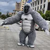Gray gorilla
