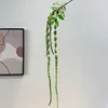 Amaranthus