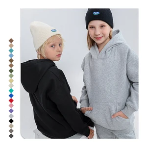280gsm 320gsm 350gsm 360gsm Cotton Heavyweight Boy Girl Unisex Hoodie Solid Color Hooded French Terry Hoodie Kids Custom Logo
