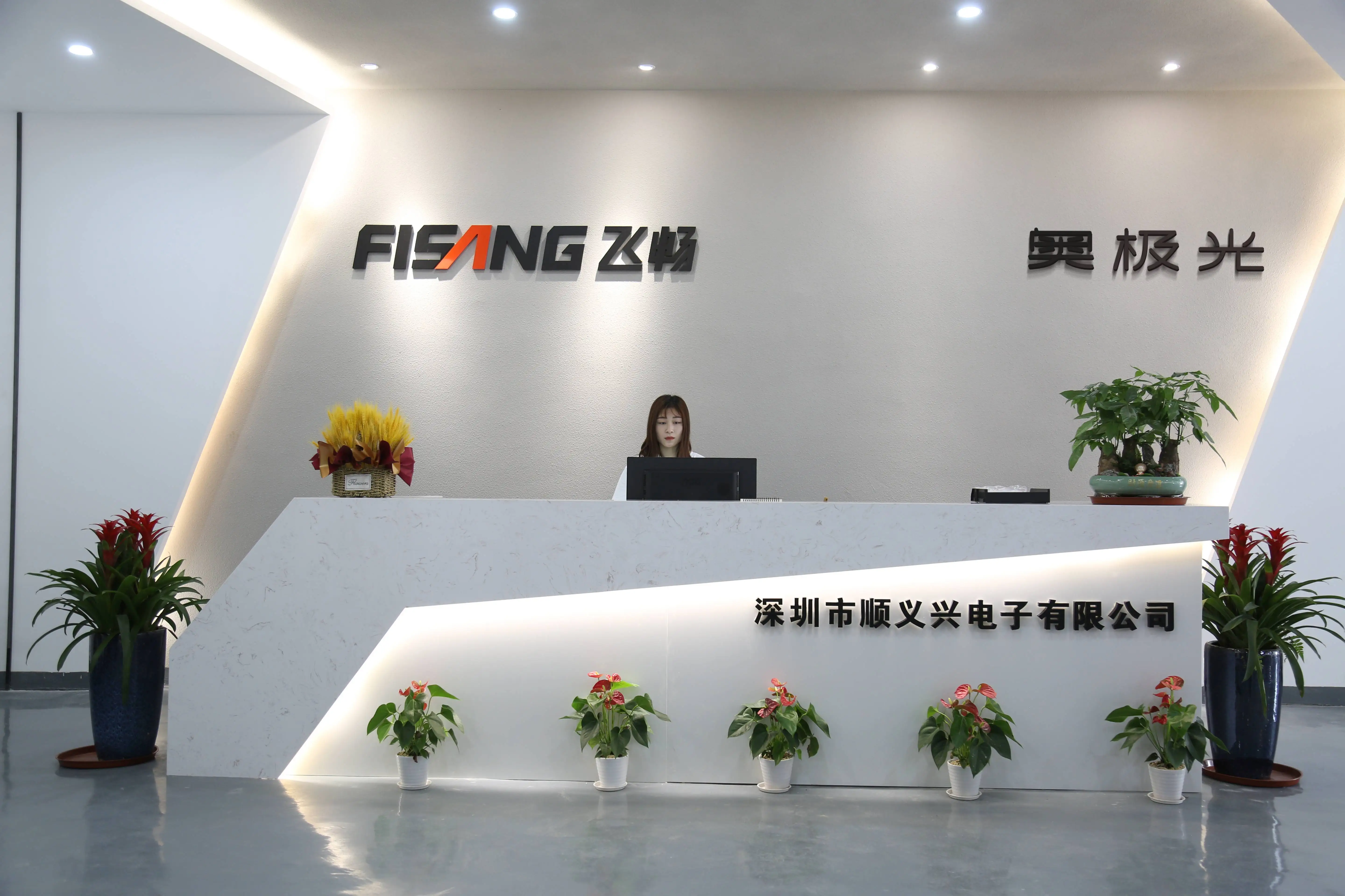 Shenzhen Fisang Electronics Co., Ltd.